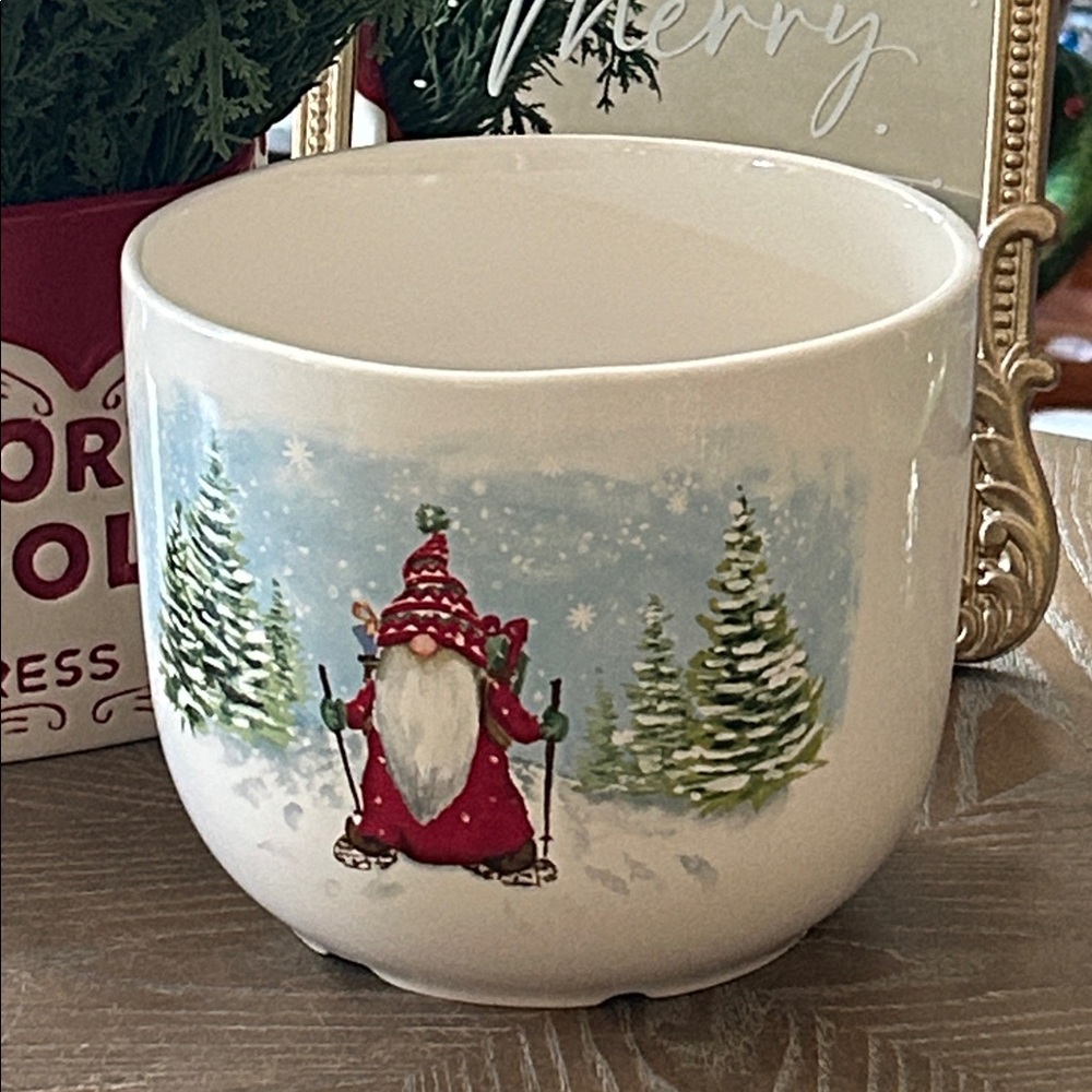 NEW! ๐ฒ Bohemian Farmhouse Winter Snow Holiday Gnome LARGE Ceramic Bowl